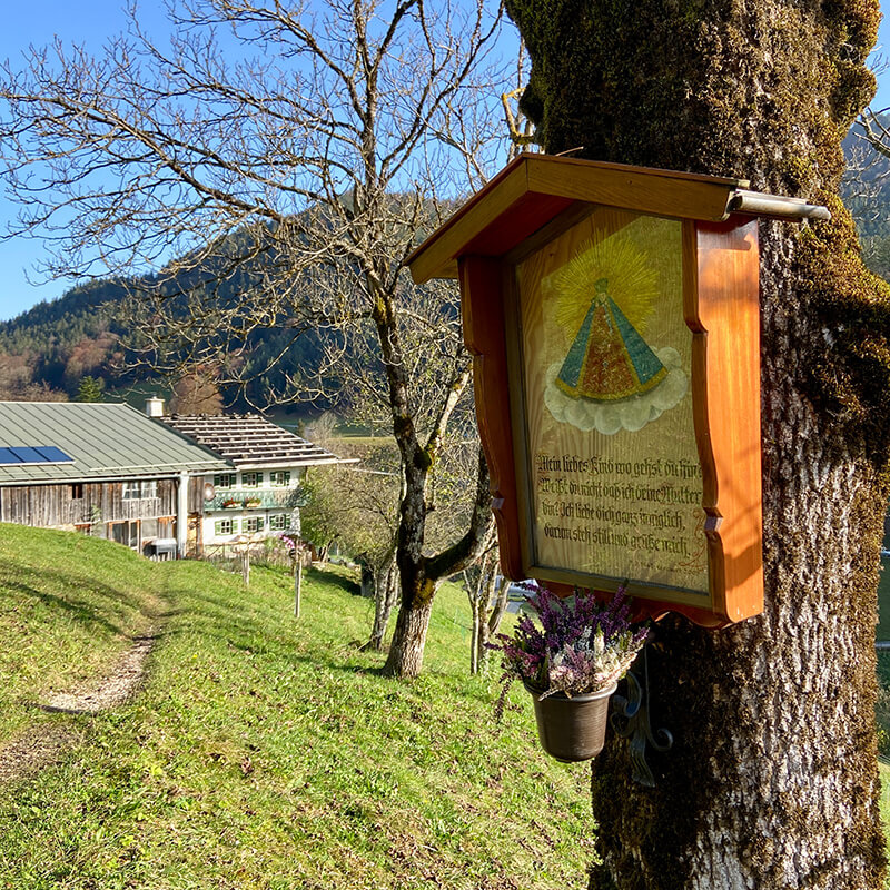 gernerhoehenweg-station9-4