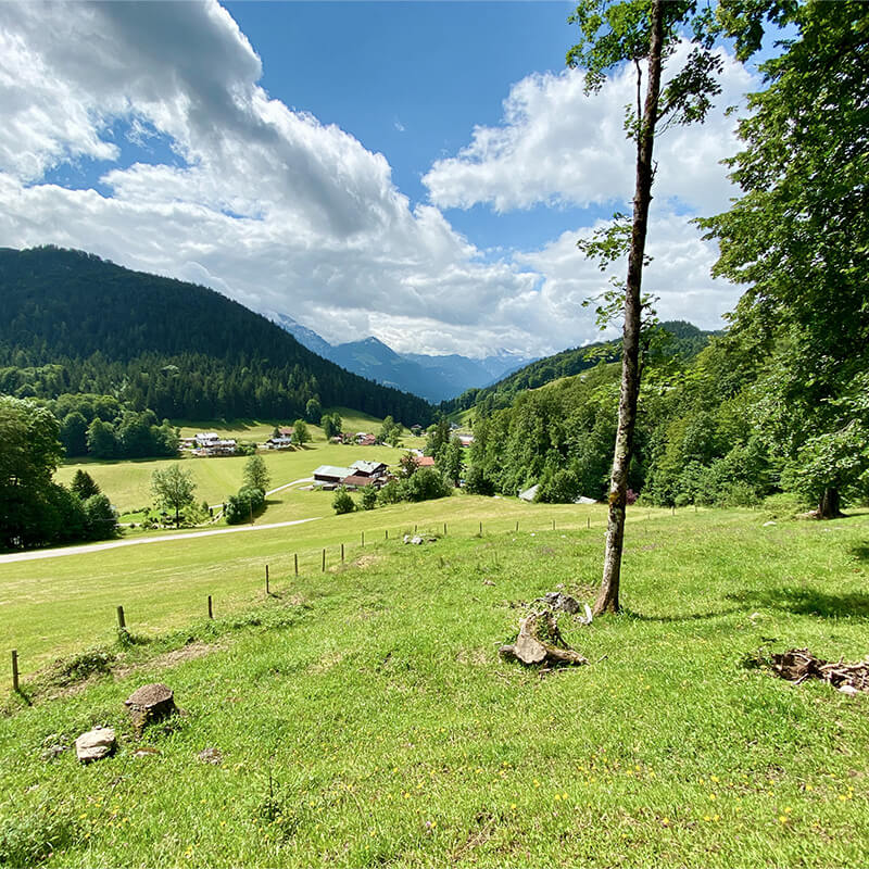 gernerhoehenweg-station7-1