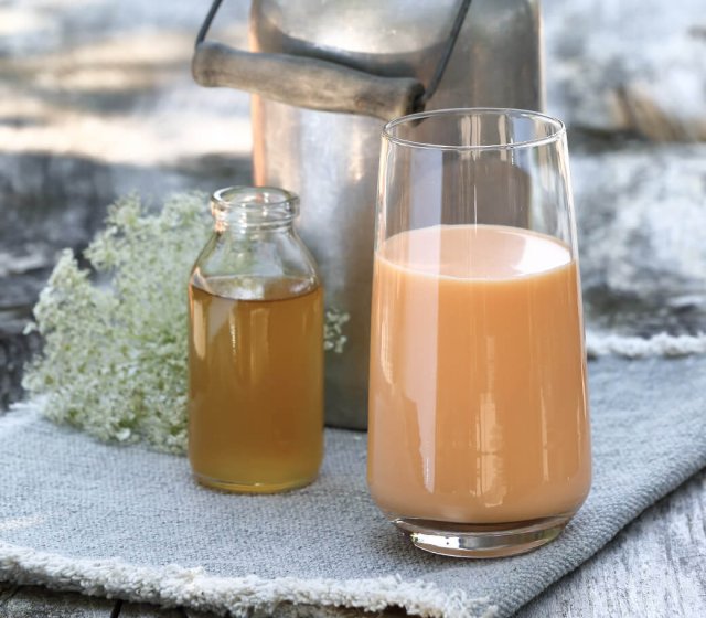 holunderbluete-orangenmilch