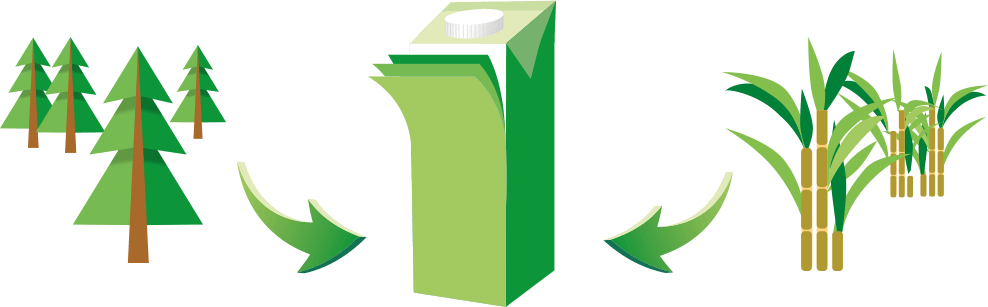 nachhaltige-kartonverpackung