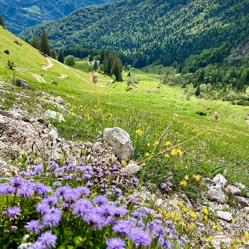 Geigelstein_3