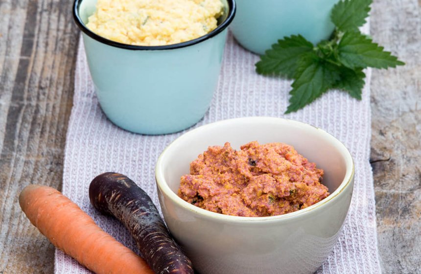 aufstrich-karotten-topfen