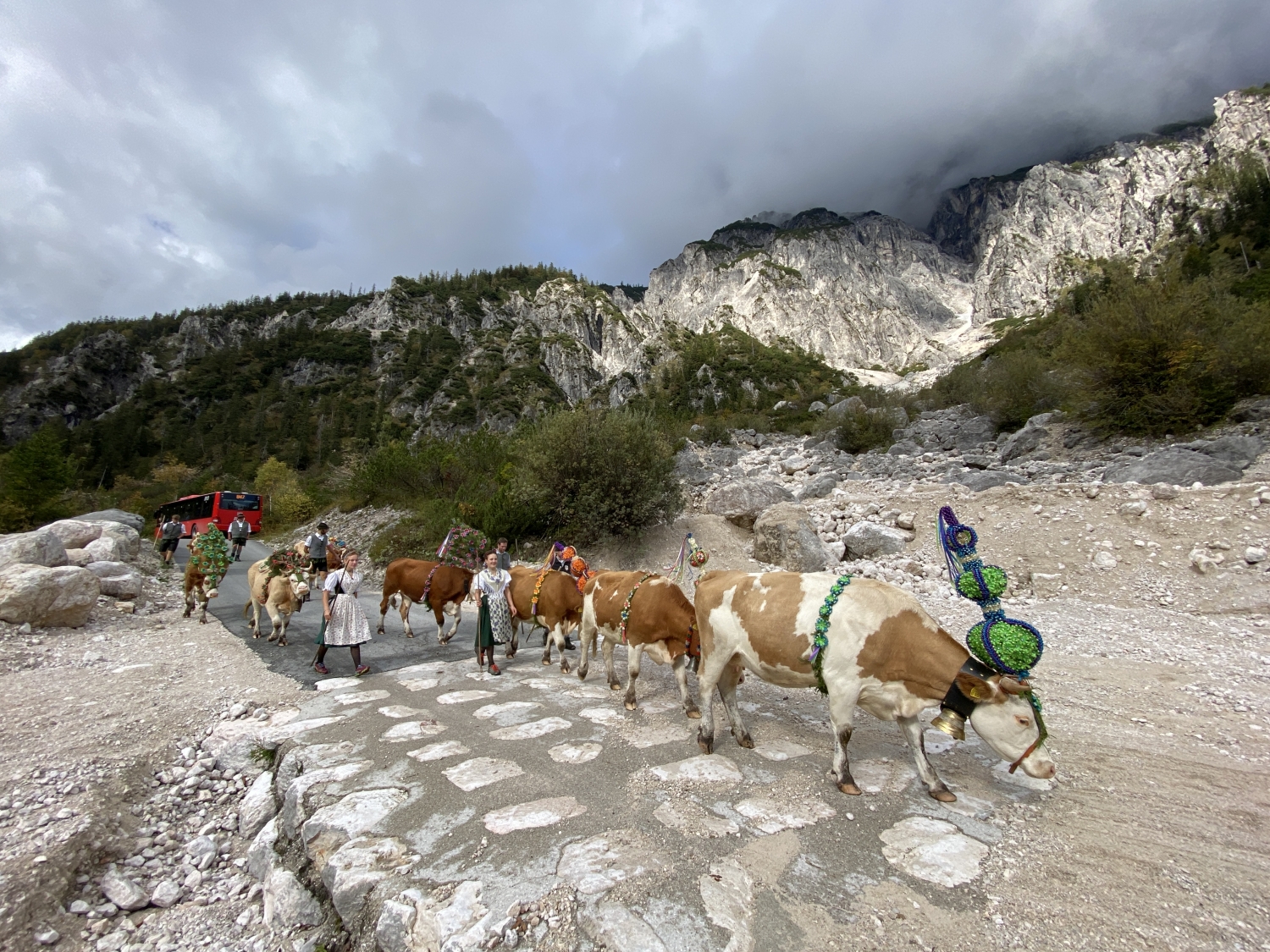 Einhorn sorgt für Aufregung auf der Alm