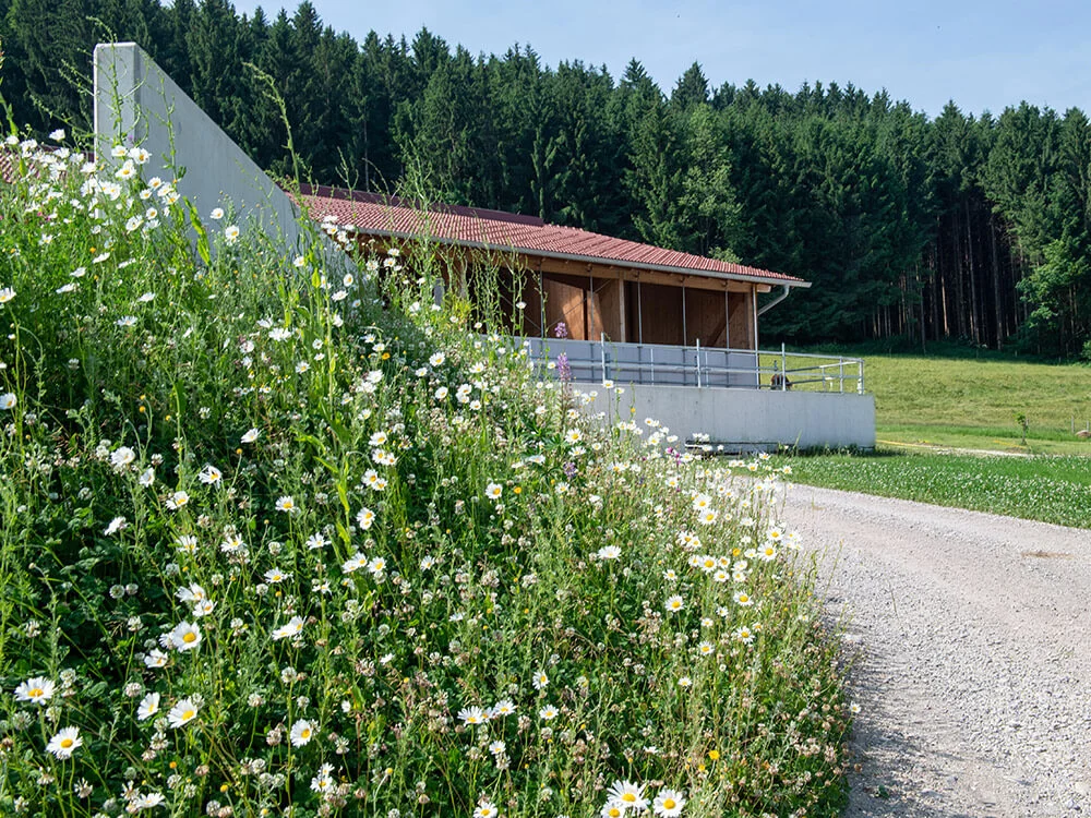 bluehstreifen2
